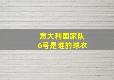 意大利国家队6号是谁的球衣