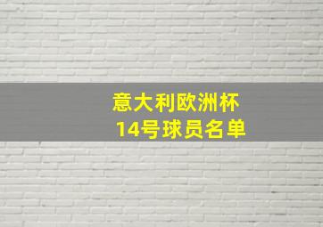 意大利欧洲杯14号球员名单