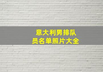 意大利男排队员名单照片大全