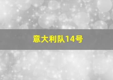 意大利队14号