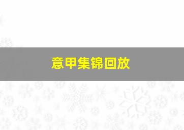 意甲集锦回放