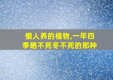 懒人养的植物,一年四季晒不死冬不死的那种