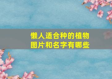 懒人适合种的植物图片和名字有哪些