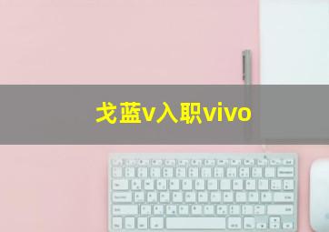 戈蓝v入职vivo