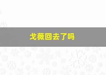 戈薇回去了吗