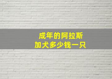 成年的阿拉斯加犬多少钱一只