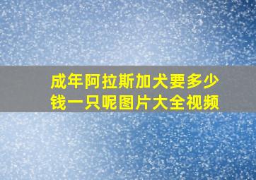 成年阿拉斯加犬要多少钱一只呢图片大全视频