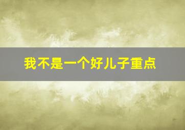 我不是一个好儿子重点