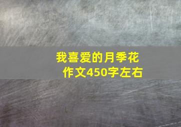 我喜爱的月季花作文450字左右