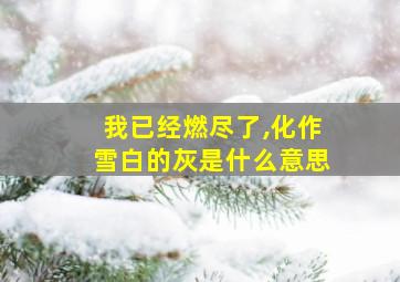 我已经燃尽了,化作雪白的灰是什么意思