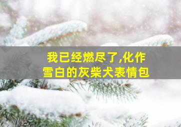 我已经燃尽了,化作雪白的灰柴犬表情包