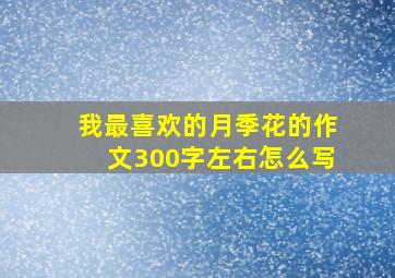 我最喜欢的月季花的作文300字左右怎么写