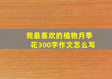 我最喜欢的植物月季花300字作文怎么写