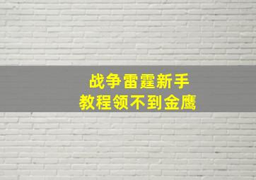 战争雷霆新手教程领不到金鹰