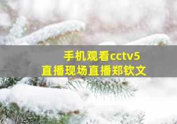 手机观看cctv5直播现场直播郑钦文