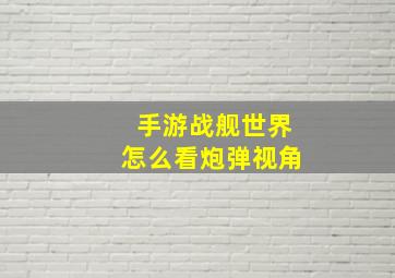 手游战舰世界怎么看炮弹视角