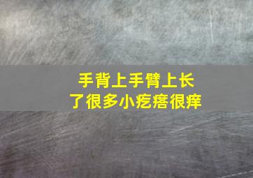 手背上手臂上长了很多小疙瘩很痒