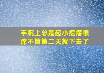 手腕上总是起小疙瘩很痒不管第二天就下去了