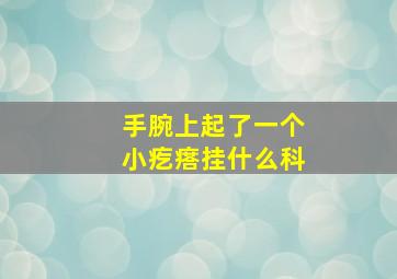 手腕上起了一个小疙瘩挂什么科