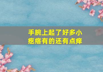 手腕上起了好多小疙瘩有的还有点痒