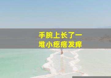 手腕上长了一堆小疙瘩发痒