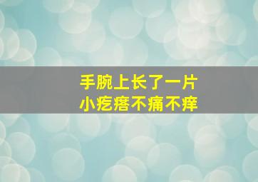 手腕上长了一片小疙瘩不痛不痒