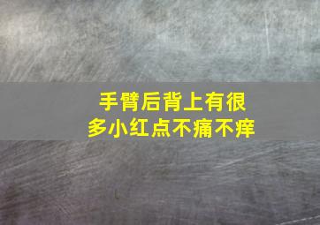 手臂后背上有很多小红点不痛不痒