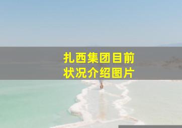 扎西集团目前状况介绍图片