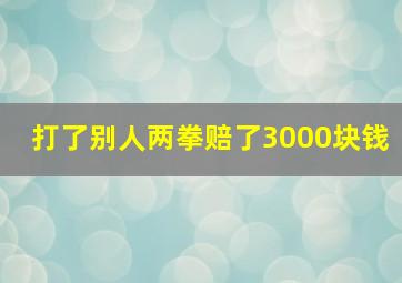 打了别人两拳赔了3000块钱