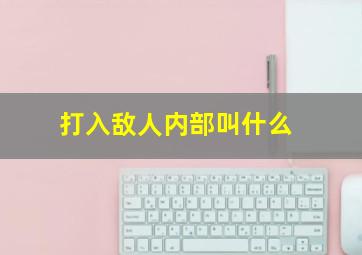 打入敌人内部叫什么