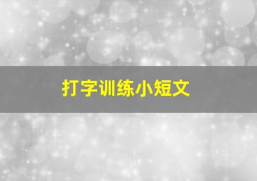 打字训练小短文