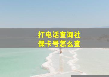 打电话查询社保卡号怎么查