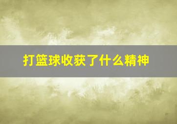 打篮球收获了什么精神