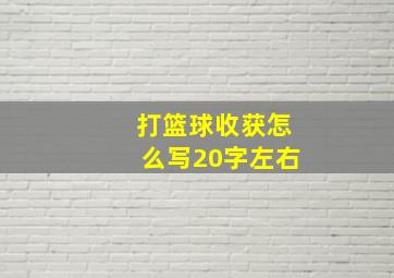 打篮球收获怎么写20字左右