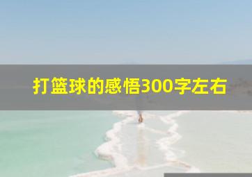 打篮球的感悟300字左右