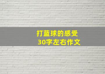 打蓝球的感受30字左右作文