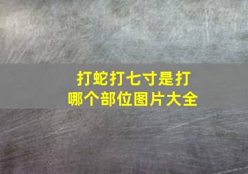 打蛇打七寸是打哪个部位图片大全