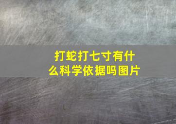 打蛇打七寸有什么科学依据吗图片