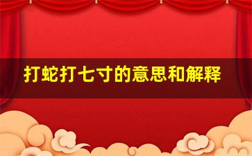 打蛇打七寸的意思和解释