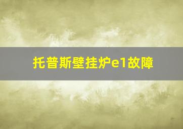 托普斯壁挂炉e1故障