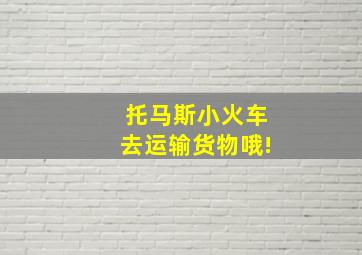 托马斯小火车去运输货物哦!