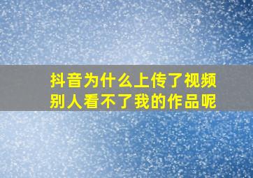 抖音为什么上传了视频别人看不了我的作品呢