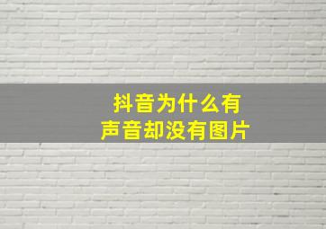 抖音为什么有声音却没有图片