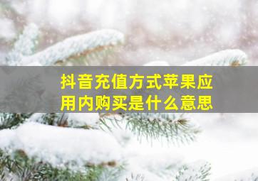 抖音充值方式苹果应用内购买是什么意思