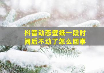 抖音动态壁纸一段时间后不动了怎么回事