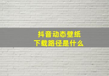 抖音动态壁纸下载路径是什么