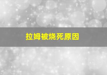 拉姆被烧死原因