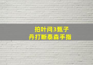 拍叶问3甄子丹打断泰森手指