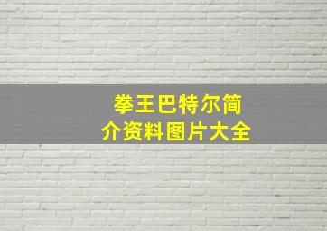 拳王巴特尔简介资料图片大全