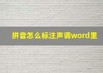 拼音怎么标注声调word里